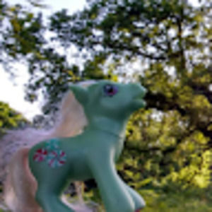 Meet your Posher, Sillygirlz566